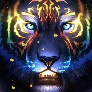 Meet your Posher, Loren